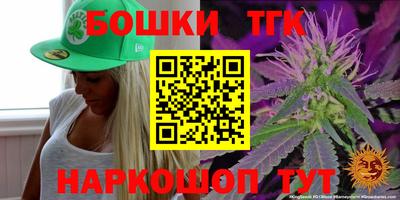 гидра Ставрополь