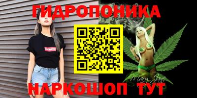 гидра Ставрополь