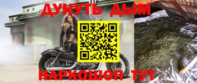 гидра Ставрополь