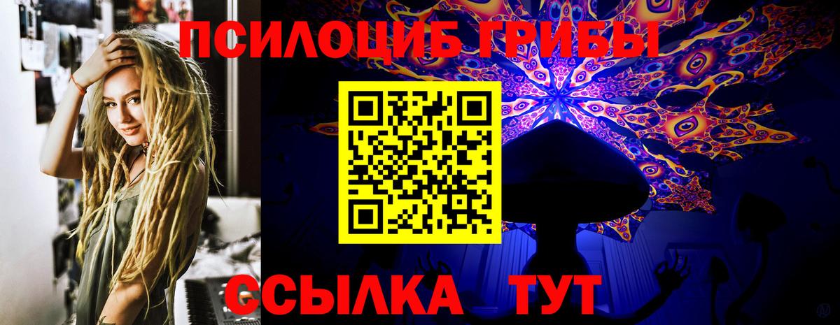 Полысаево  Псилоцибиновые грибы Cubensis  продажа наркотиков  Вход с VPN 